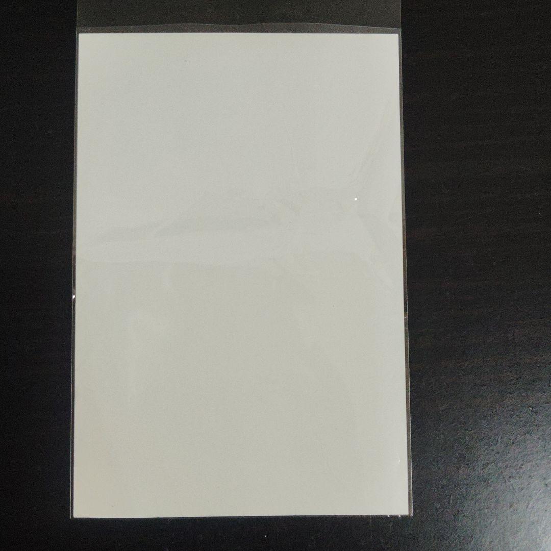 【匿名配送】ビッグオーダー えすのサカエ 特典カード