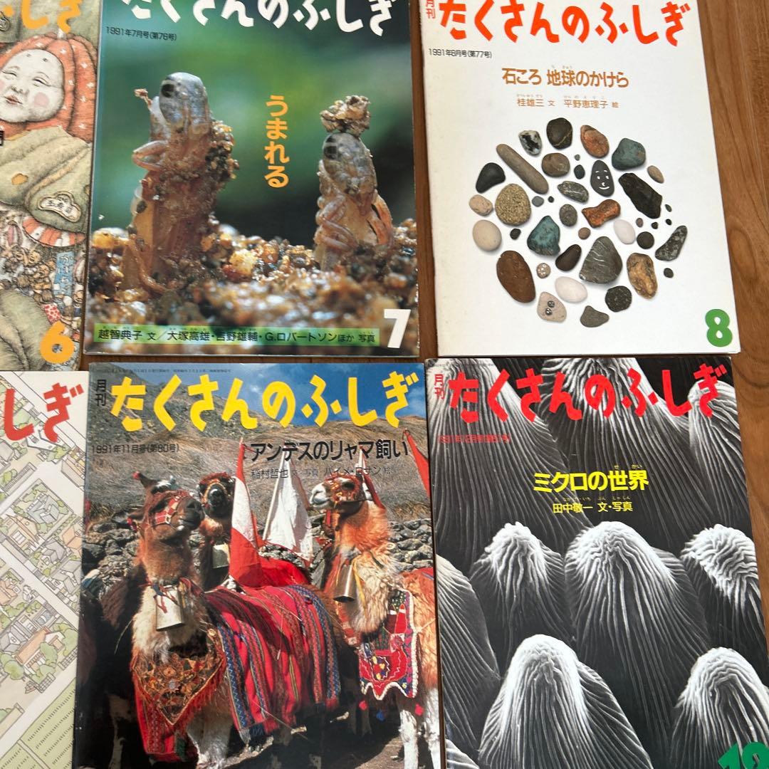 たくさんのふしぎ 1991年 12冊〔1月-12月〕