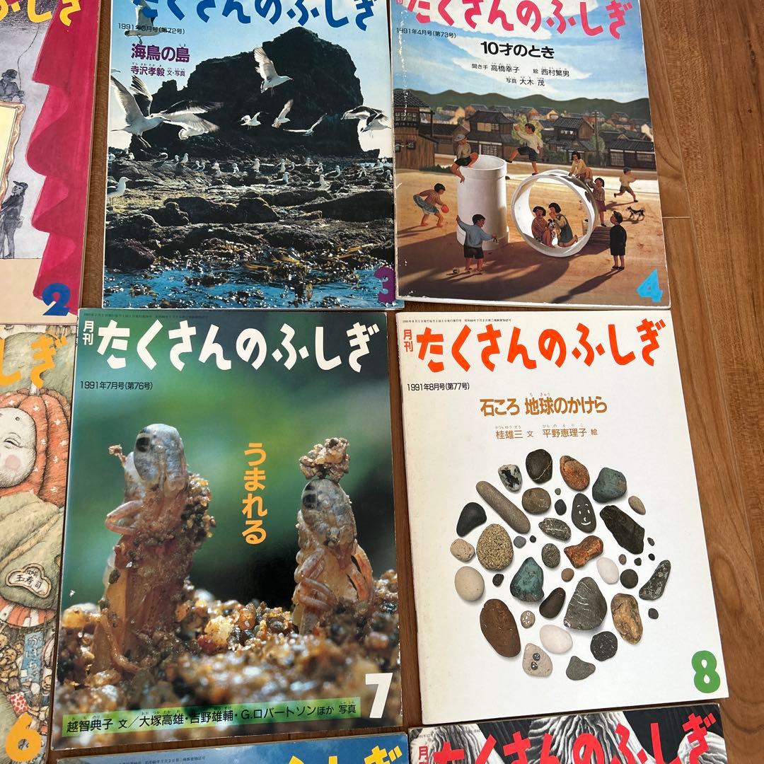 たくさんのふしぎ 1991年 12冊〔1月-12月〕