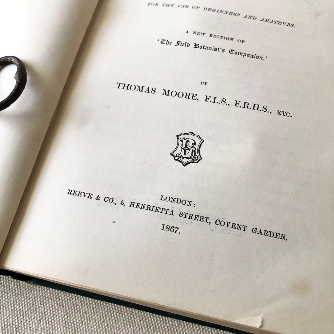 1867年！超希少　手彩色　英国ヴィクトリア時代のアンティーク植物図鑑