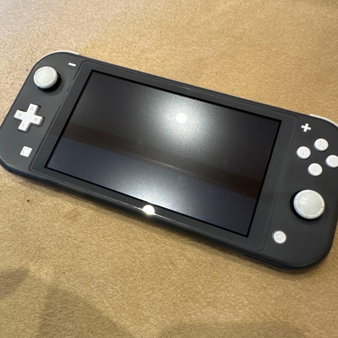 Switchライト　微ジャンク　Wi-Fi不可