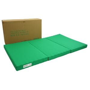 定価275000円 新品 ヘルスビューティウェーブ NEO DX DC ver