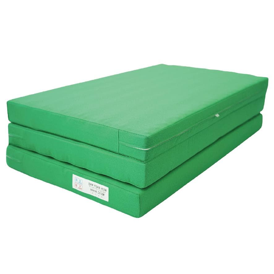 定価275000円 新品 ヘルスビューティウェーブ NEO DX DC ver