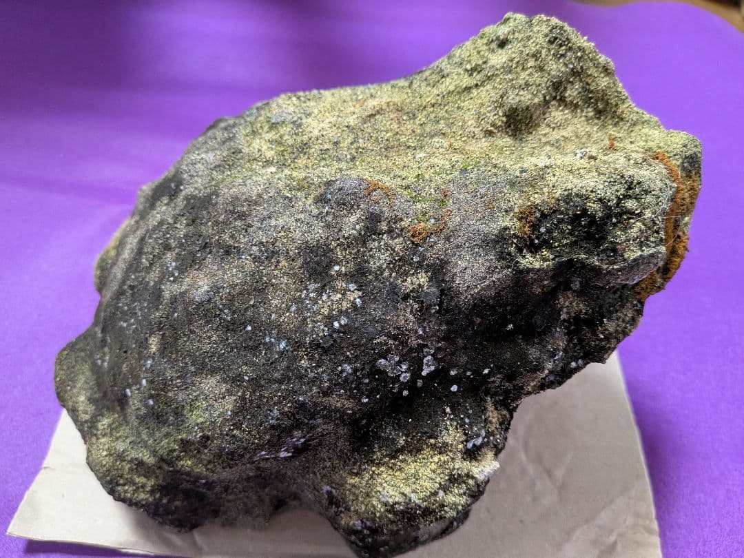 海外コレクター向き明治時代〜昭和戦前期頃蛙苔むした全長２３センチ重さ５キロ飾置物