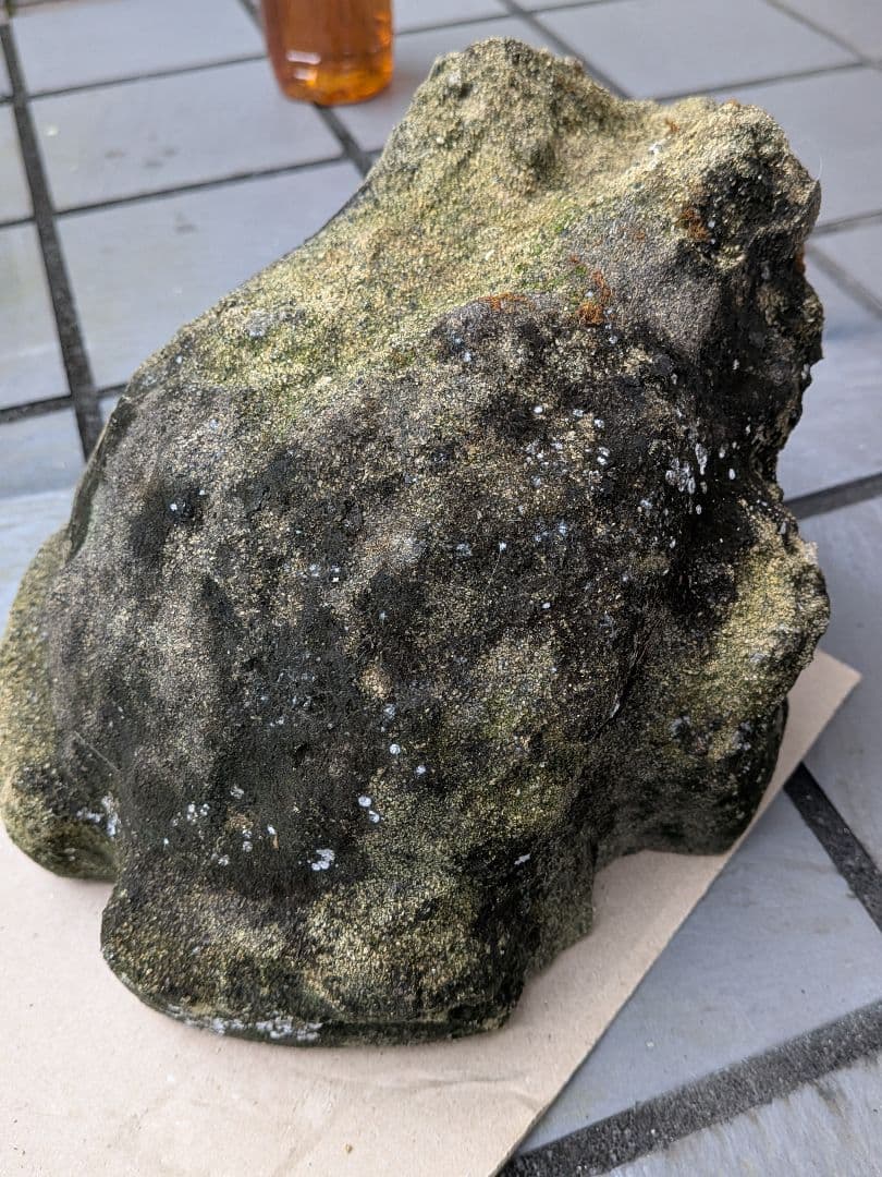 海外コレクター向き明治時代〜昭和戦前期頃蛙苔むした全長２３センチ重さ５キロ飾置物