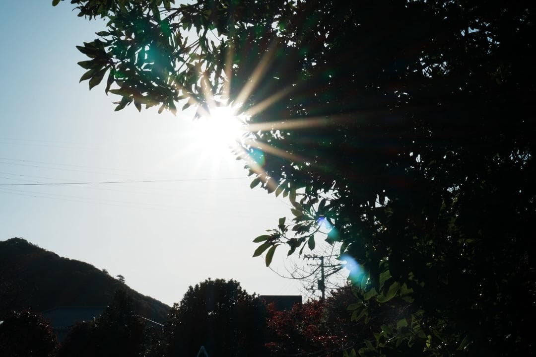 【美品】動作◎ SONY E 35mm F1.8 OSS 神レンズ 174