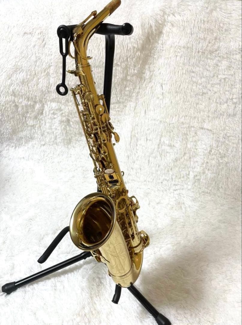 Eastarイースター　アルトサックス　初心者用