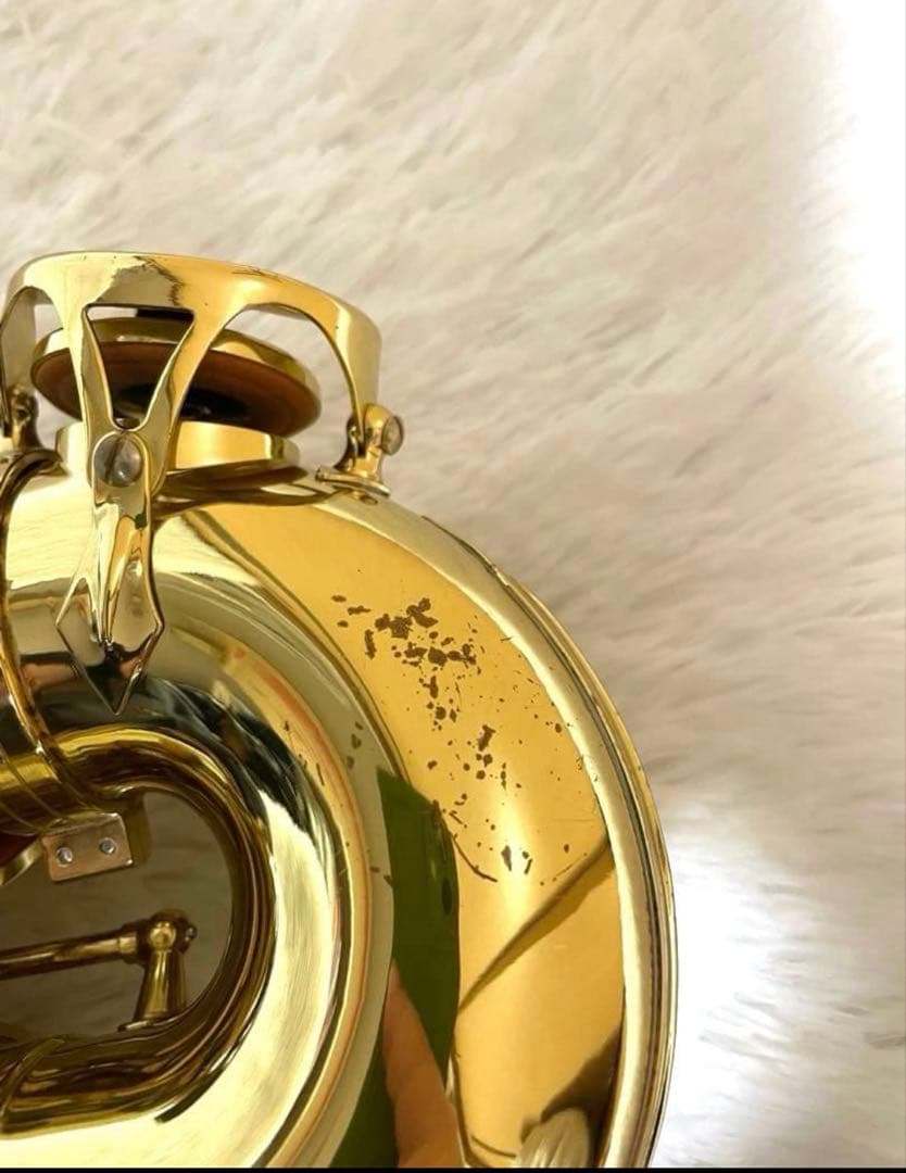 Eastarイースター　アルトサックス　初心者用