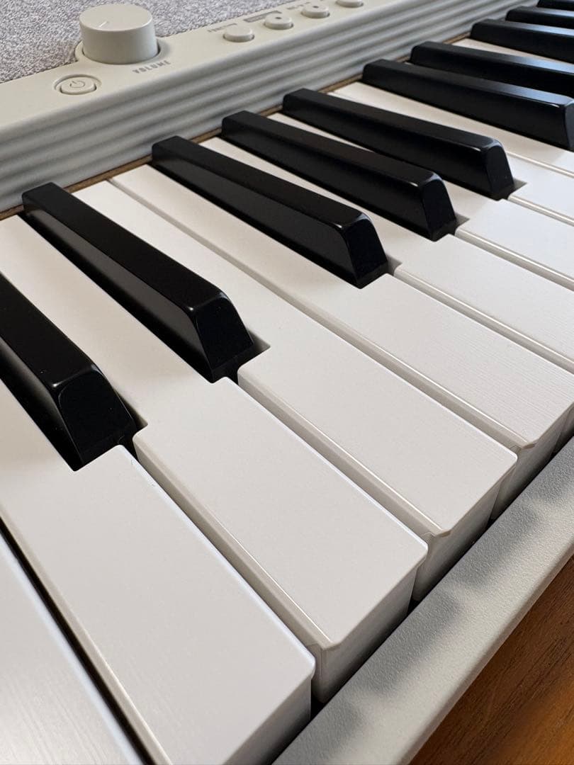 超美品 カシオ CASIO 電子キーボード カシオトーン CT-S1 ホワイト