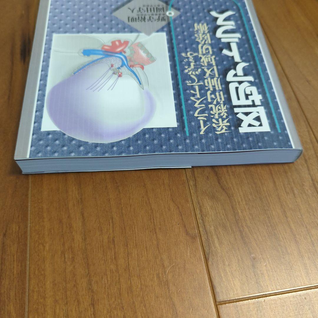 とも イラストで学ぶ系統的肺区域切除術 区切アトラス