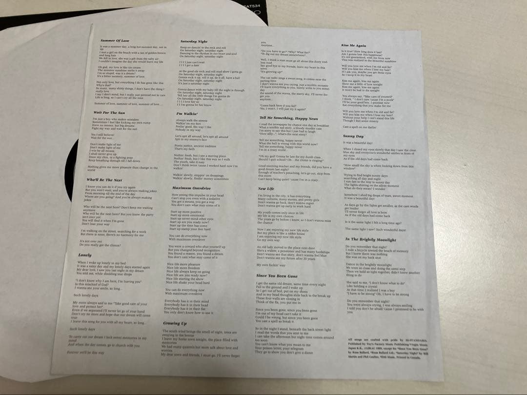 レア美品Hi-STANDARD LPレコード2枚&レコード2枚アナログ4枚セット