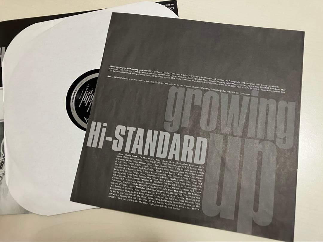レア美品Hi-STANDARD LPレコード2枚&レコード2枚アナログ4枚セット