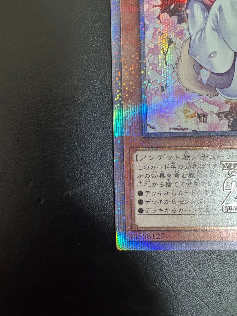 遊戯王 灰流うらら 絵違い 25th クオシク