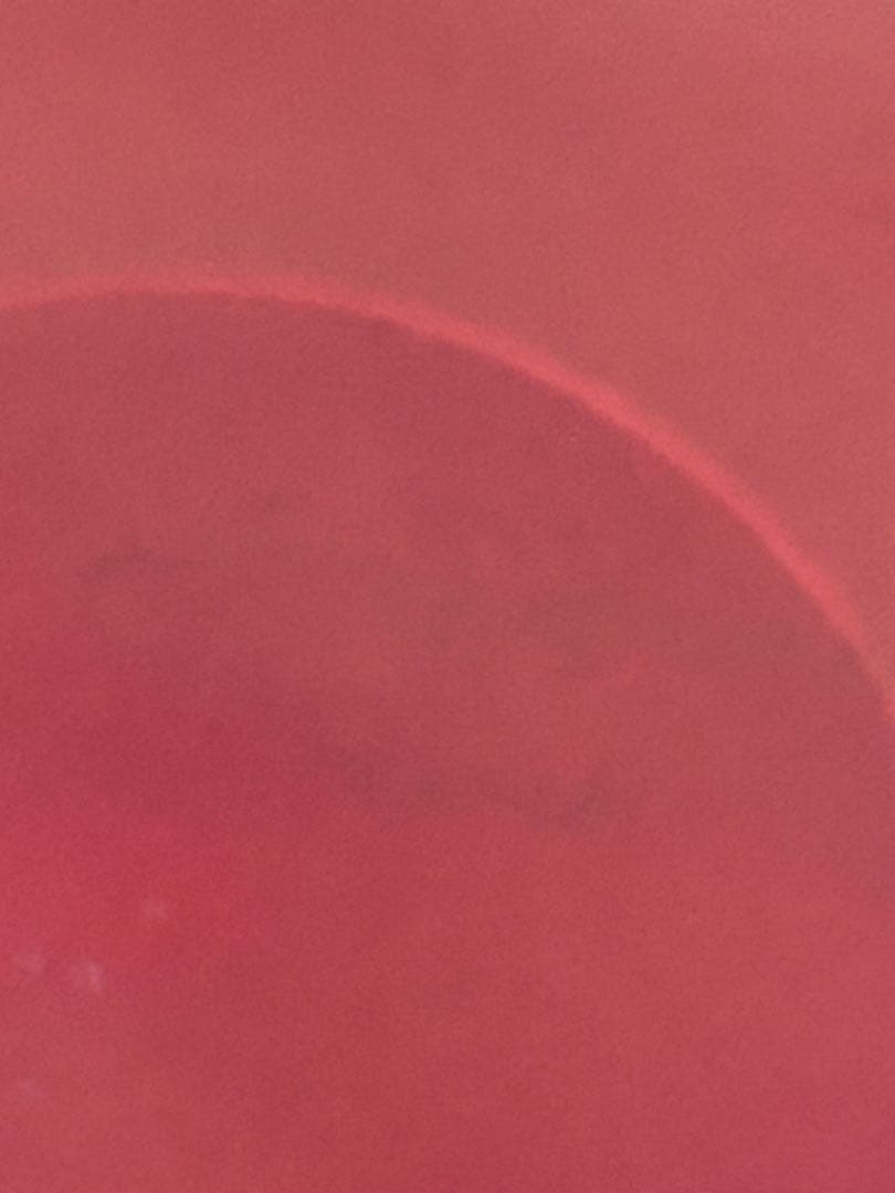 サルグミンヌ フォンデュプレート4枚　仕切り皿 フランス プロカント