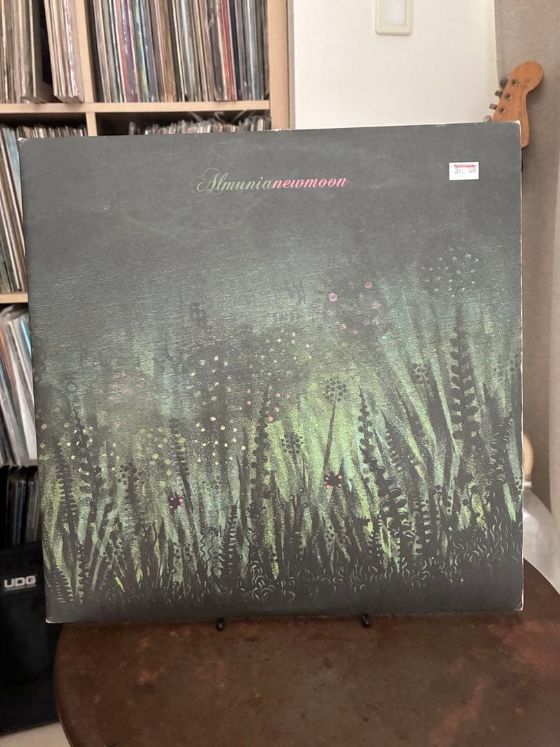 Almunia – New Moon C56LP004 LP
