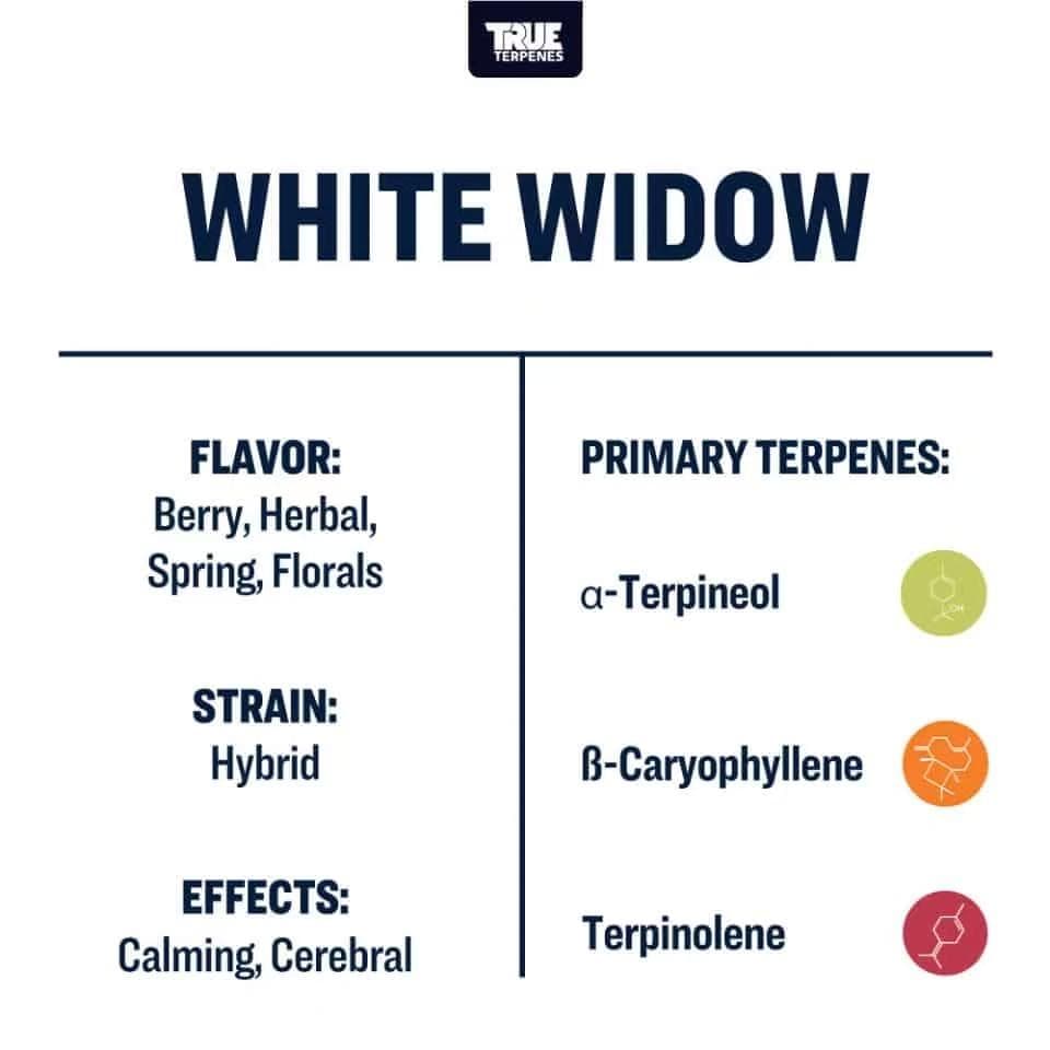 TRUE テルペン 香料 CBD CBN CBG 10ml ホワイトウィドー