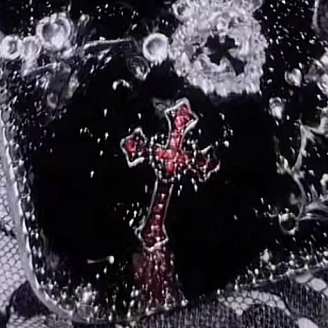 皇帝ペンギン様 アイコスケース