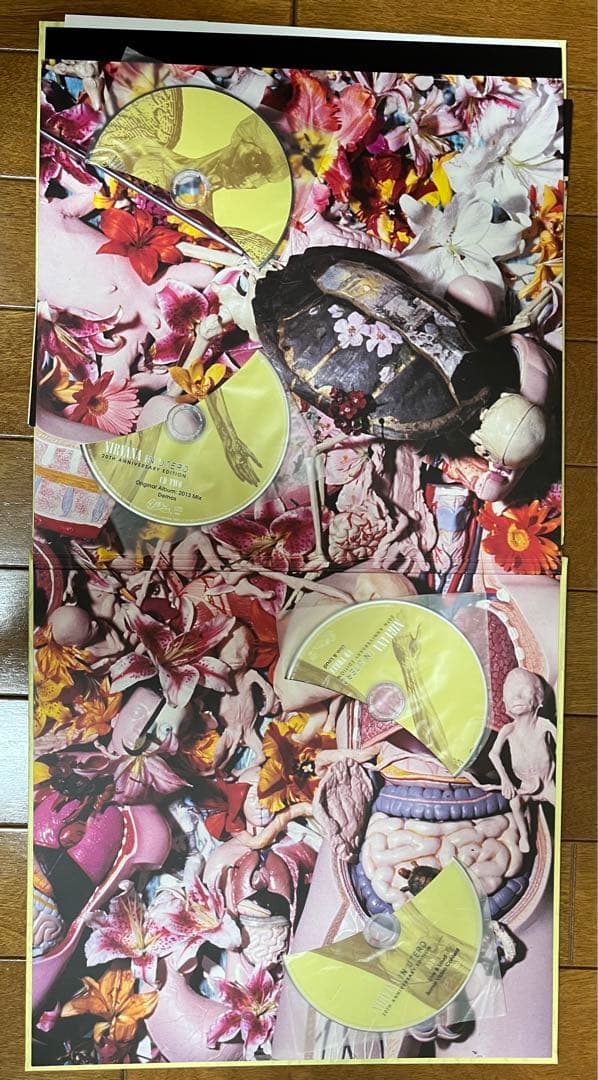 洋楽 [3CD+1DVD] In Utero 20th Anniversary