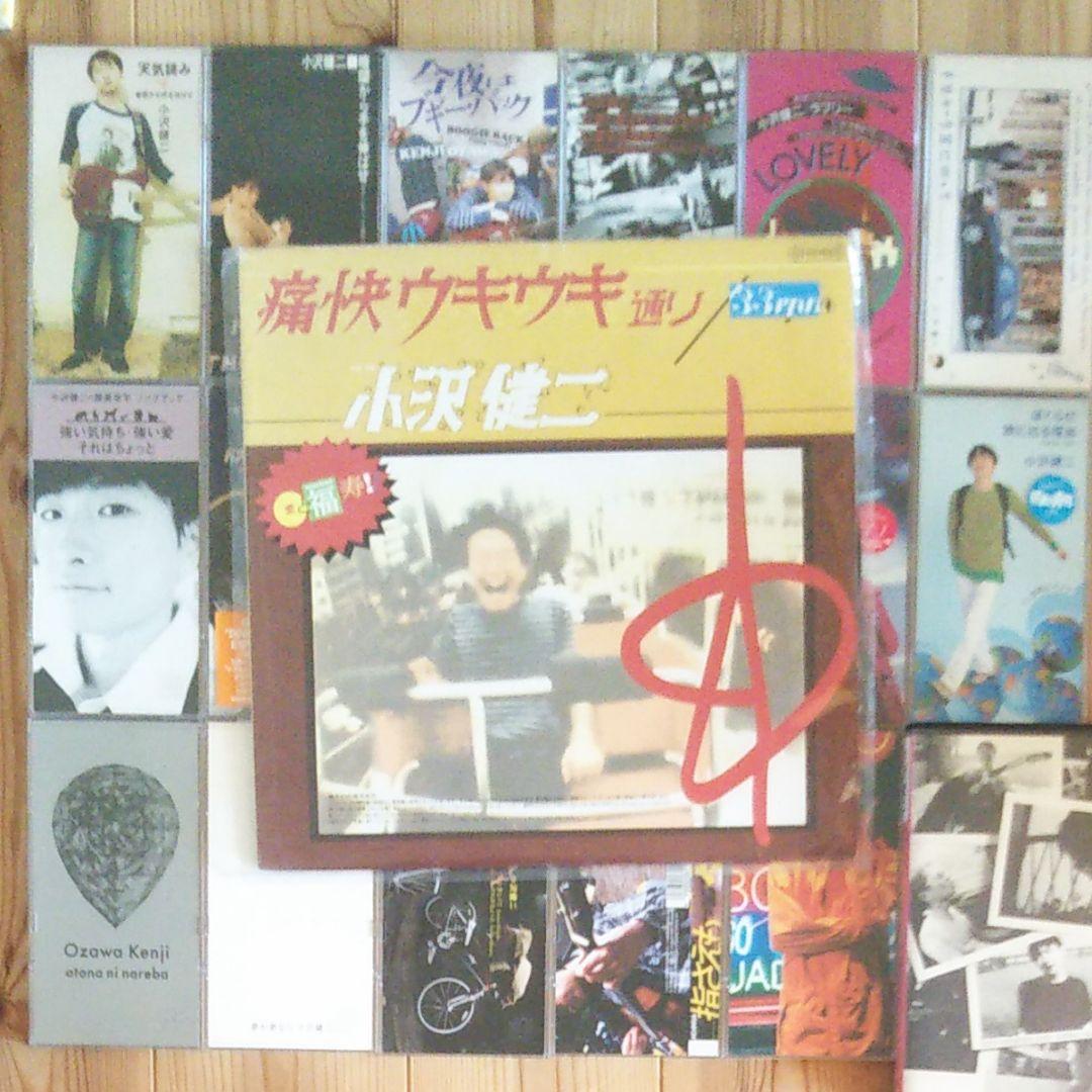 小沢健二 CD17枚 VHS LPセット