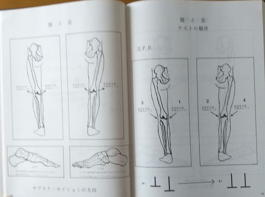 アクティベーター技術教本(カイロプラクティック)