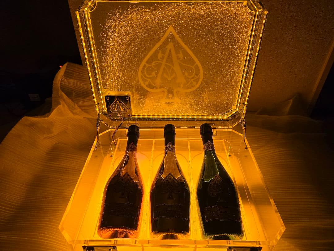 アルマンド 信号機 最新 アタッシュケース LED オイルタイプ 3本