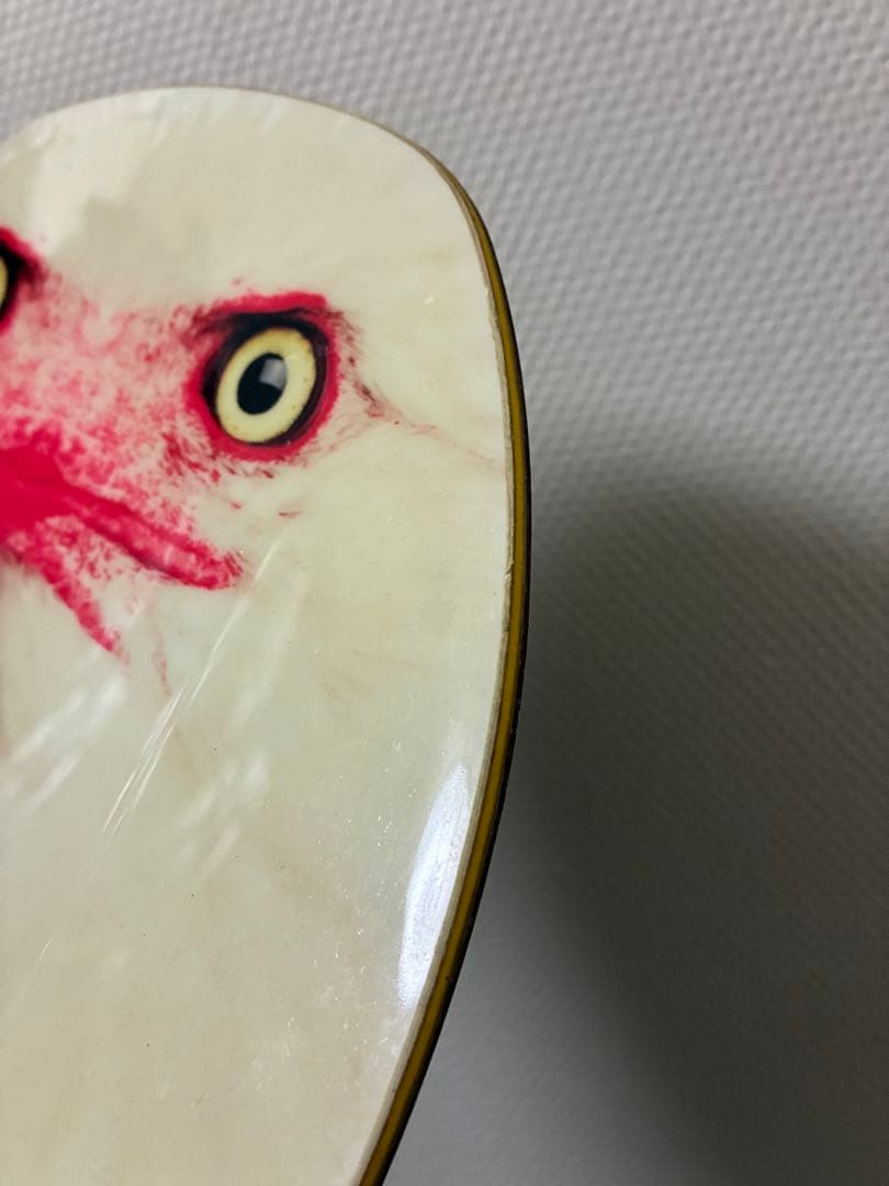 BATALEON DISTORTIA 143 バタレオン グラトリ パーク