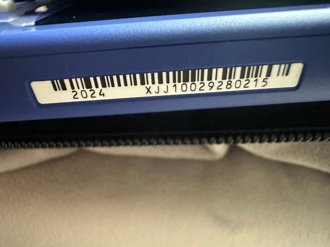 スィッチライト本体