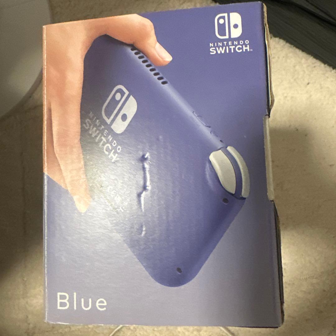 スィッチライト本体