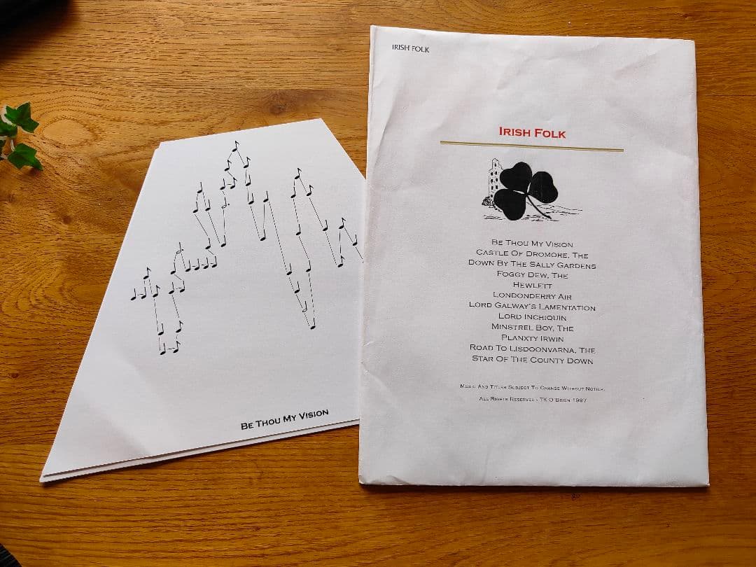 【新品】ラップハープ ケース、歌詞カード、交換弦、使用手引き書付き、