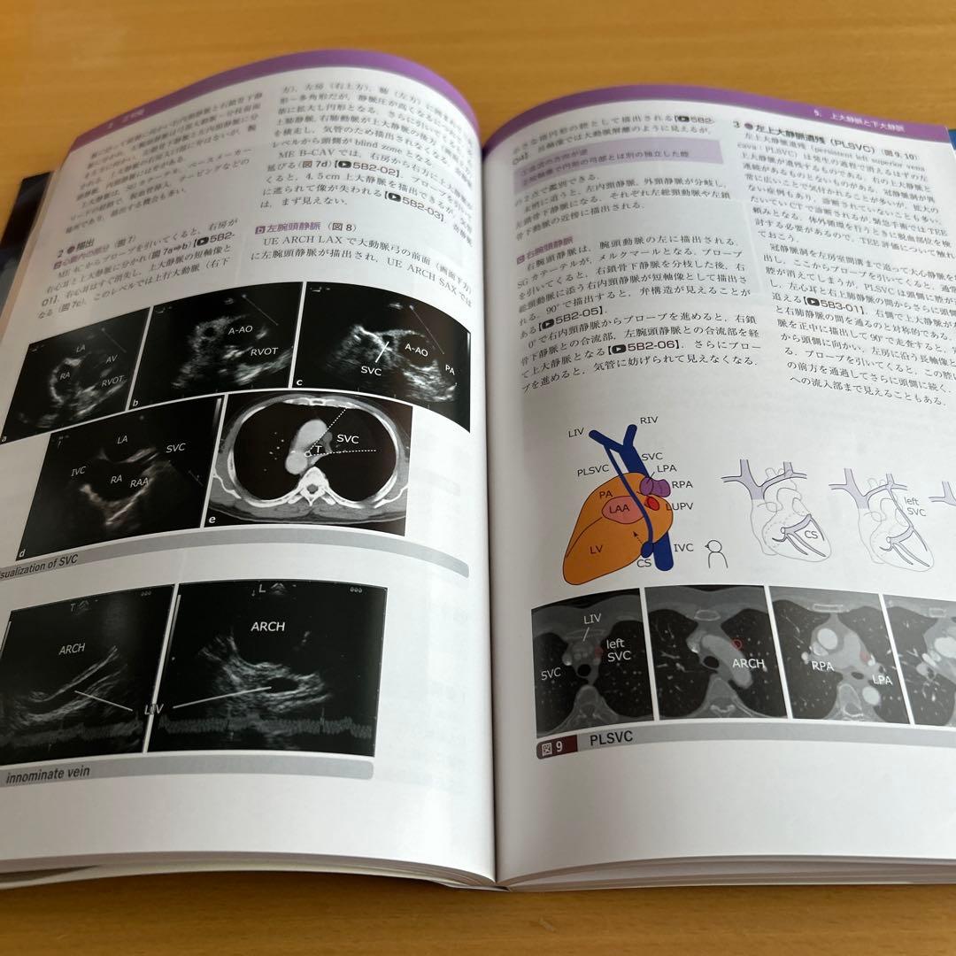 経食道心エコー法マニュアル[Web動画付](改訂第5版) 渡橋 和政