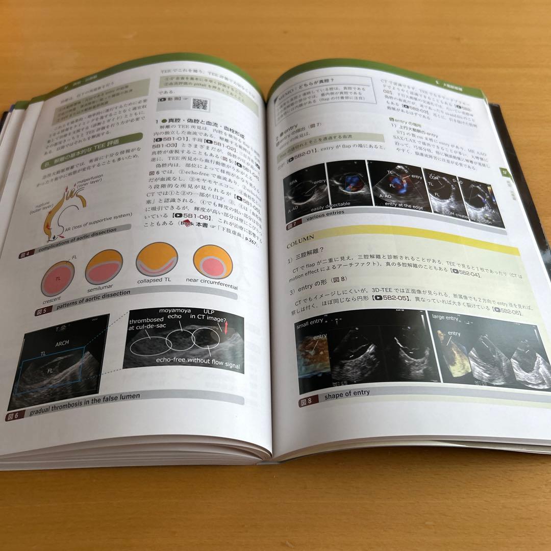 経食道心エコー法マニュアル[Web動画付](改訂第5版) 渡橋 和政