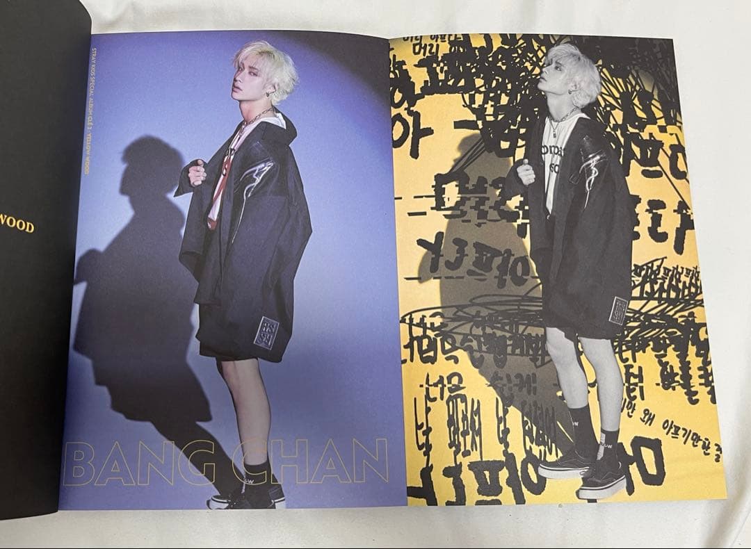 Stray Kids スキズ アルバム まとめ売り 31枚 限定盤 台湾盤