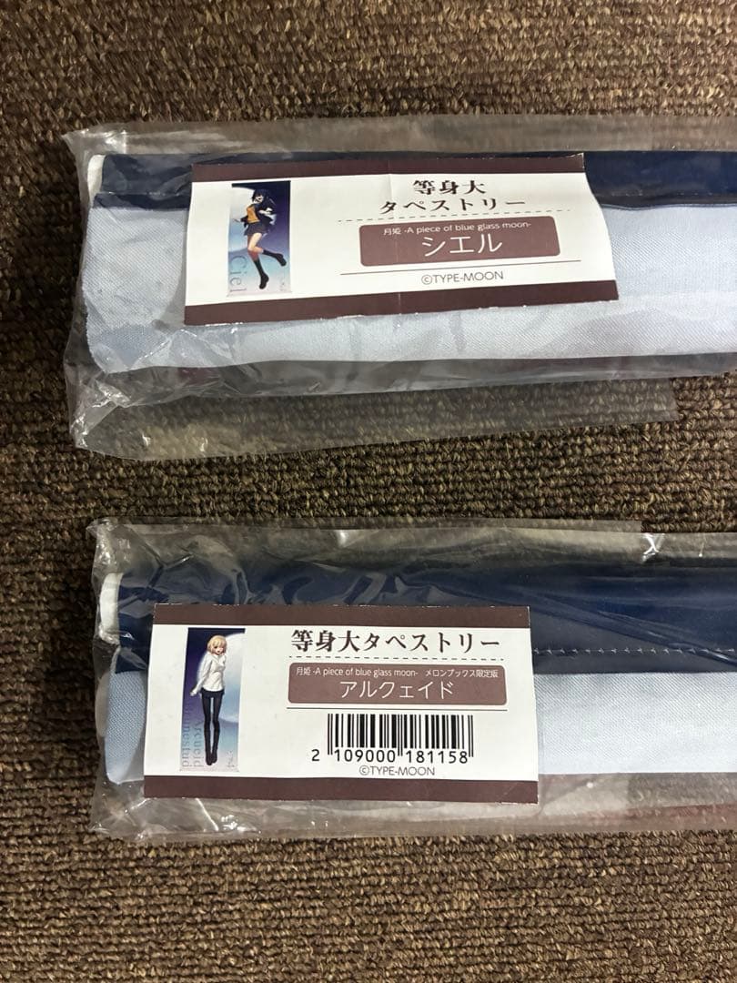 任天堂swith 月姫　初回限定版　新品未使用・未開封　タペストリー付き