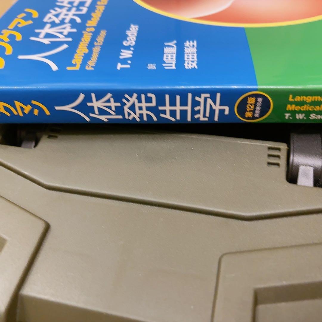 [新品]ラングマン人体発生学 第12版