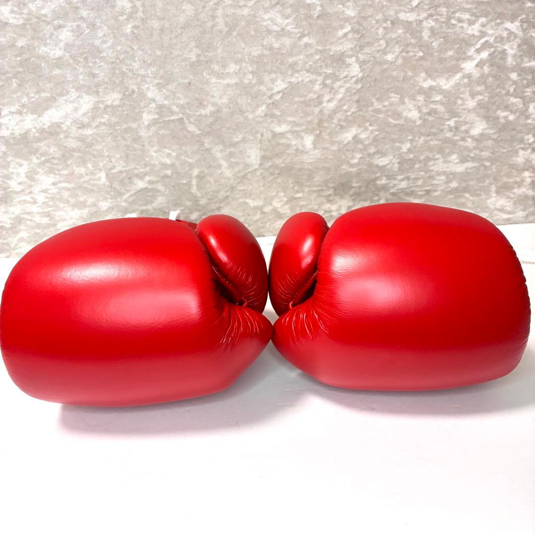 【未使用】 WINDY ウィンディー 試合用ボクシンググローブ ひも式 12oz