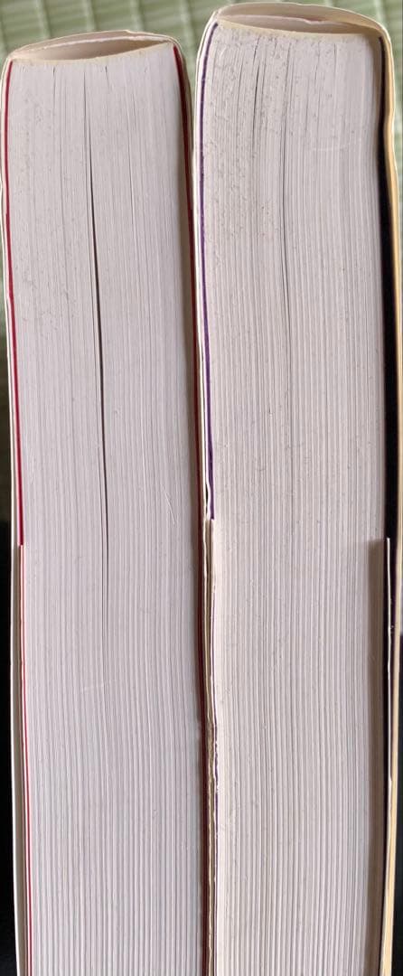 ピンダイク&ルビンフェルド ミクロ経済学 2冊セット