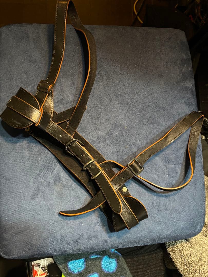 alice auaaブラックレザーハーネス