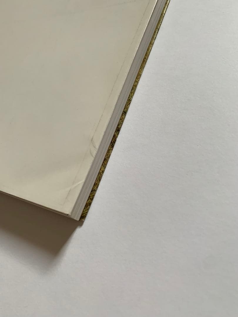 Andrew Wyethワイエス 現代美術 第3巻 講談社