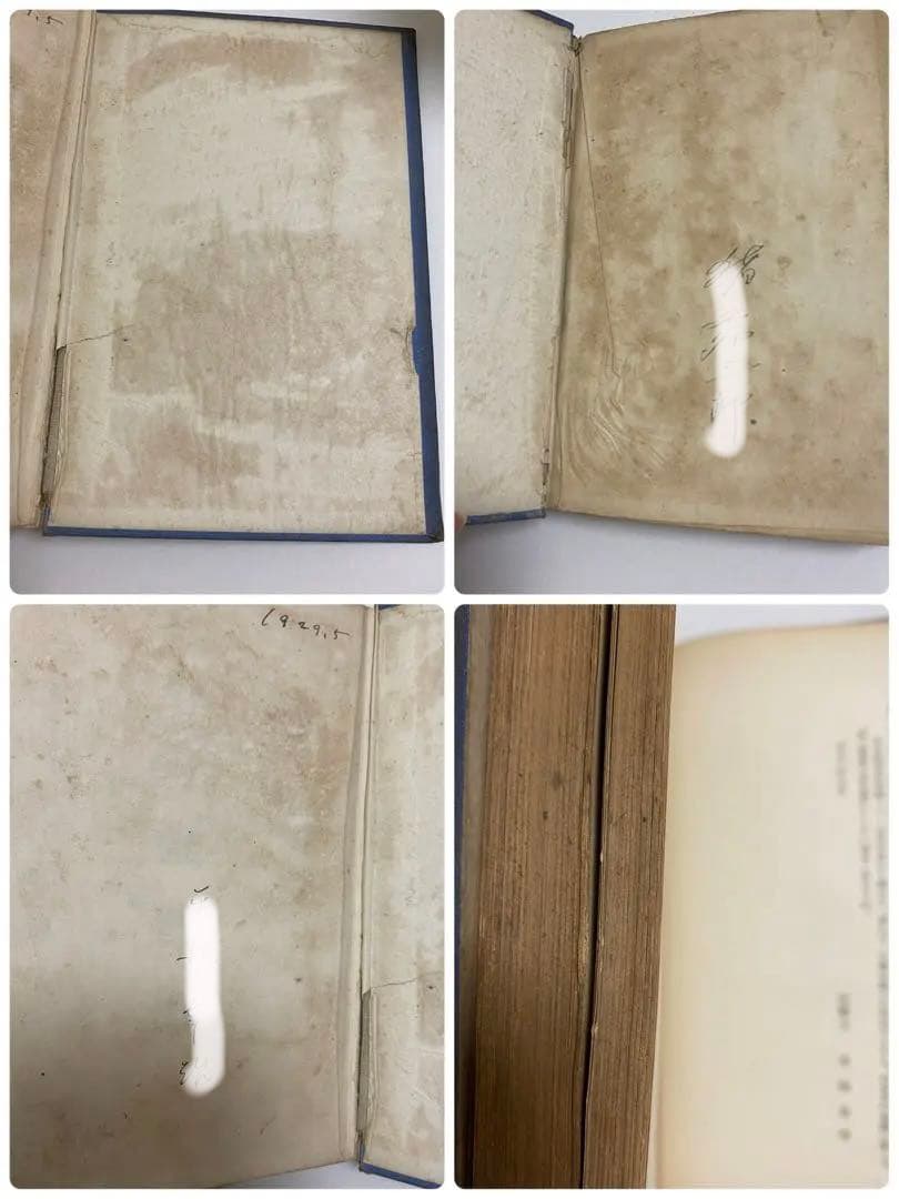 心身強健術　川合春充　肥田春充　天覧　椅子運動法　自己療養　東京　武侠世界社