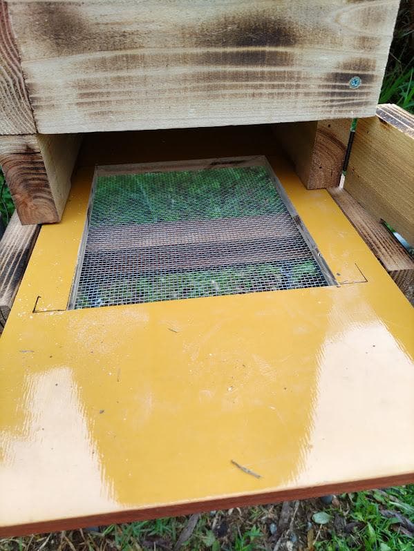 キンリョウヘン➕日本蜜蜂 重箱式巣箱4段➕スノコ➕誘引液