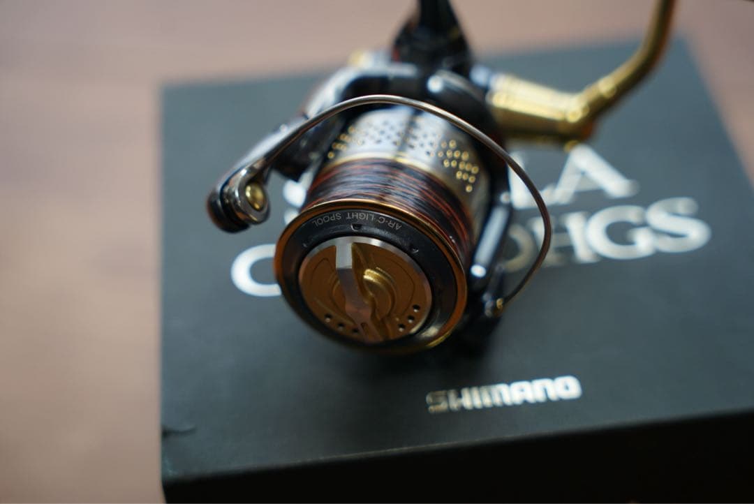 リール SHIMANO 10 STELLA C2000HGS