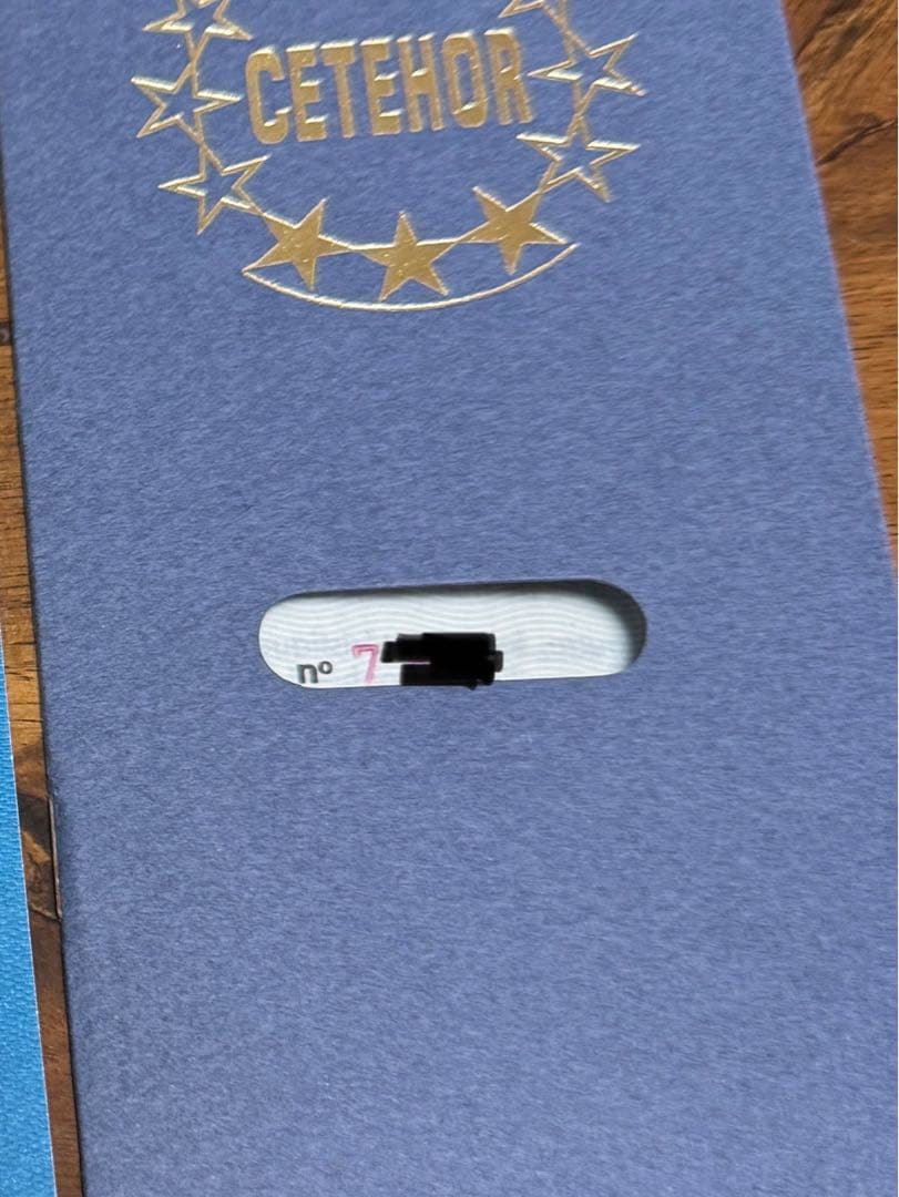 アラン・シルベスタイン ミクロバレンタイン デイト 自動巻き