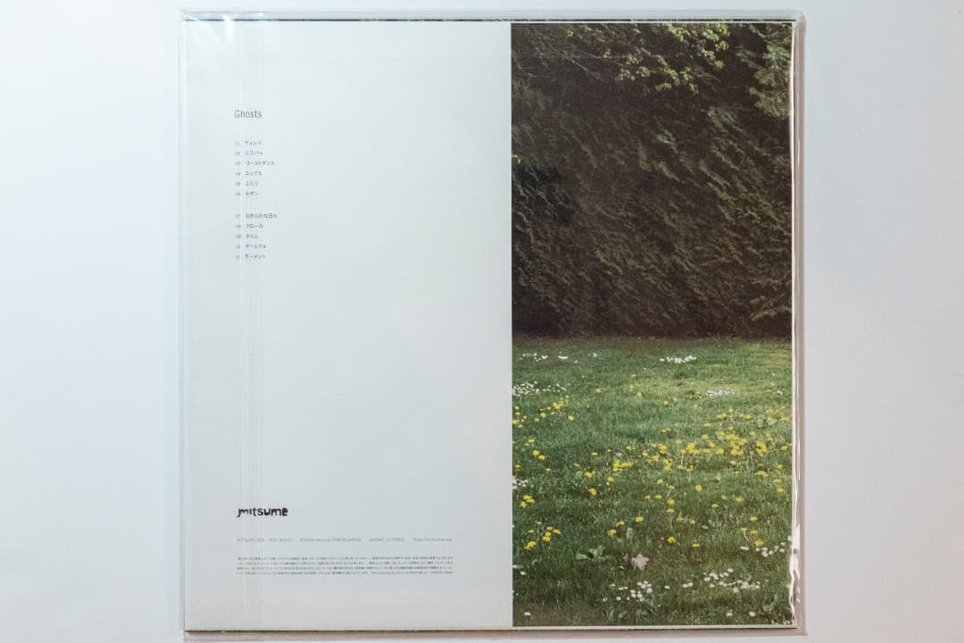 mitsume Ghosts ミツメ　レコード