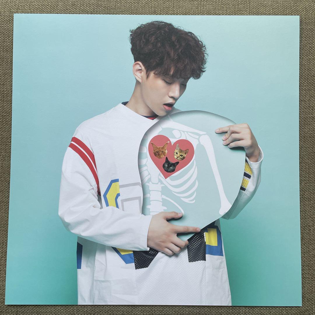 2PM ジュノ 2017 S/S リパッケージ盤 LP盤　CD