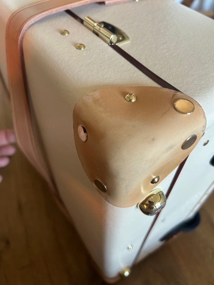 グローブトロッター　サファリ・キャリーオン