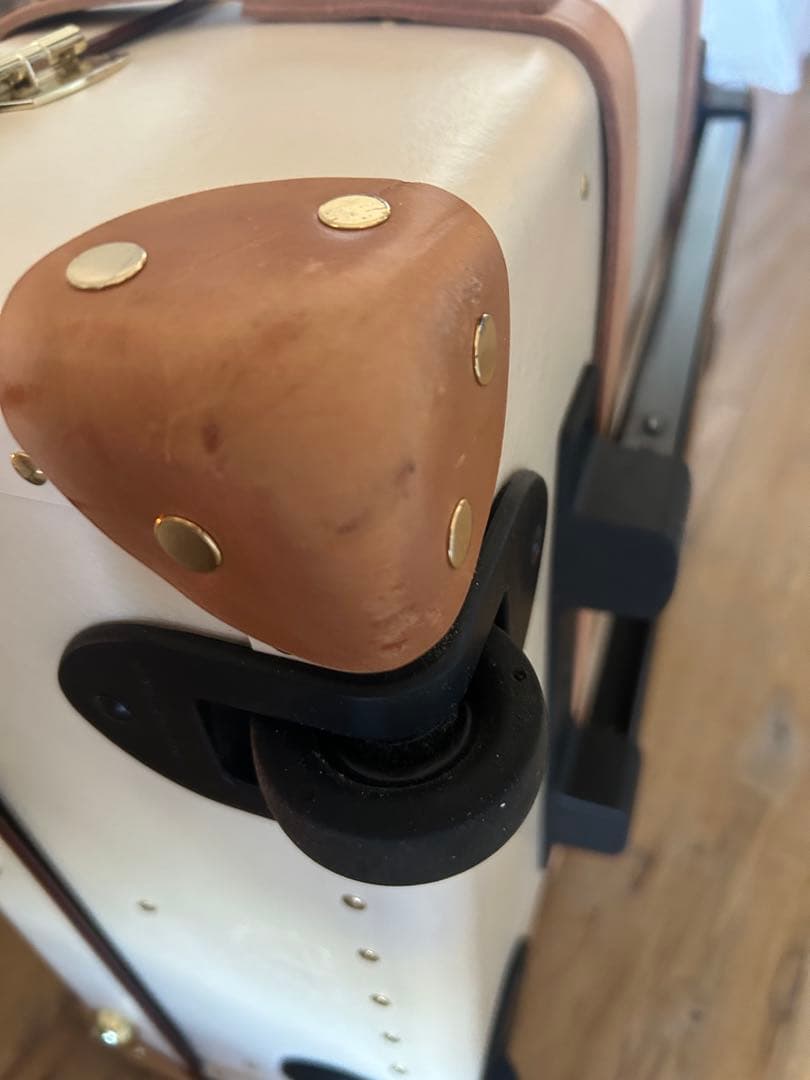 グローブトロッター　サファリ・キャリーオン