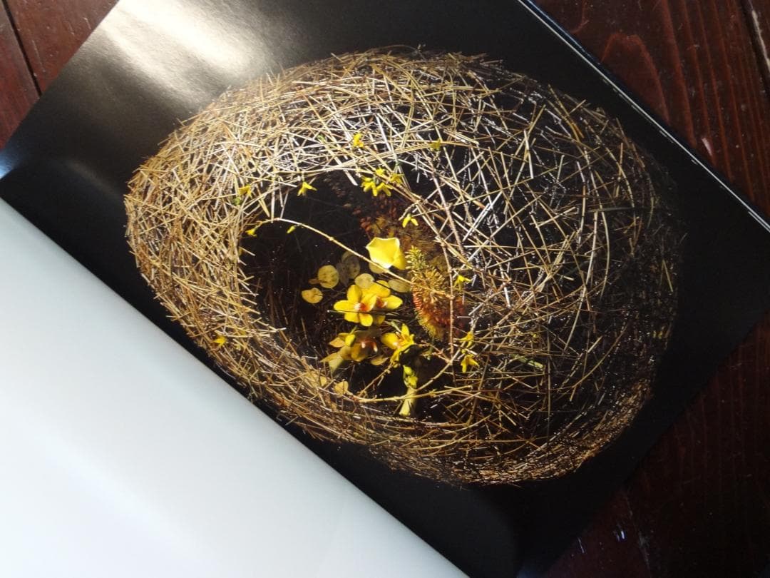 直筆サイン入り作品集●TOR GUNDERSEN作品集 WORKS・WERKE