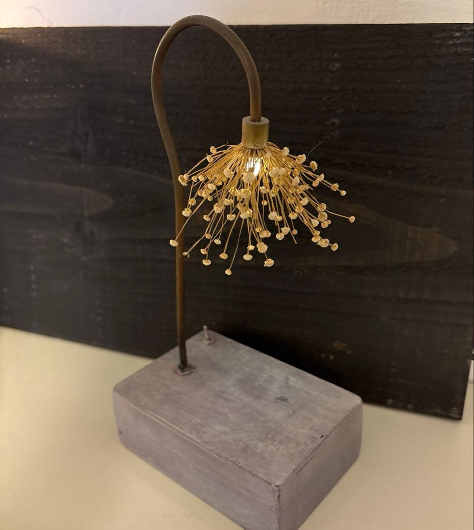 森の灯り　はいいろオオカミ＋花屋西別府商店