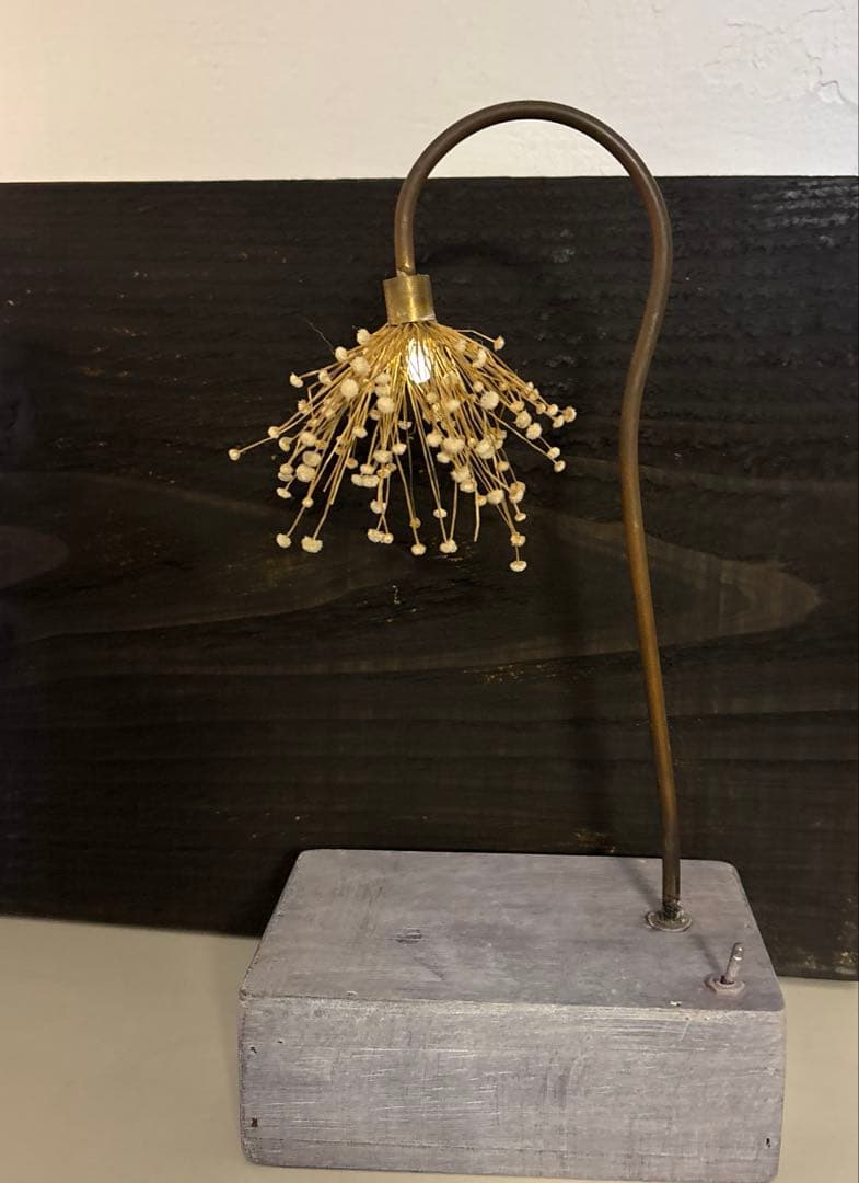 森の灯り　はいいろオオカミ＋花屋西別府商店