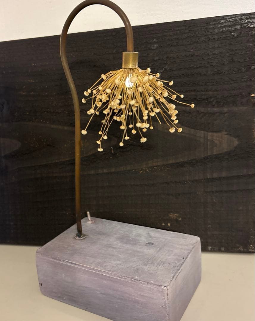 森の灯り　はいいろオオカミ＋花屋西別府商店